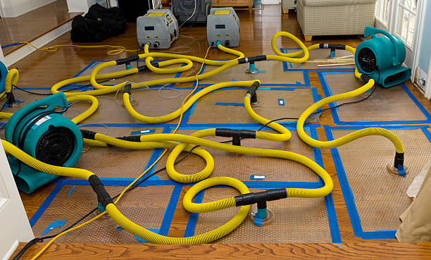Professional Structural Drying And Dehumidification technician working in Stockholm, WI